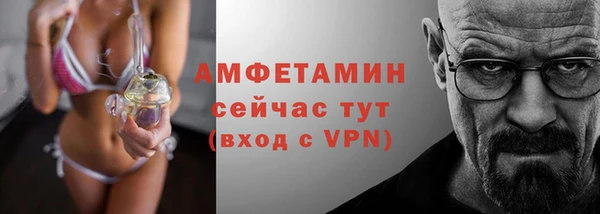 ПСИЛОЦИБИНОВЫЕ ГРИБЫ Арсеньев