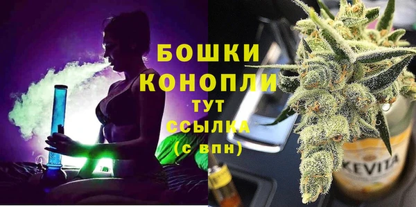 гидра Баксан