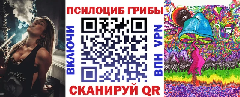 Псилоцибиновые грибы Cubensis  Кировск 